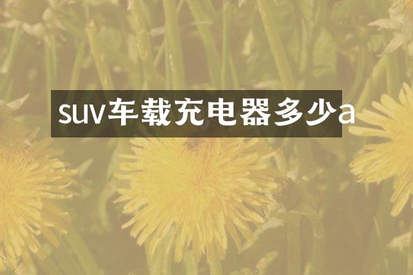 suv车载充电器多少a