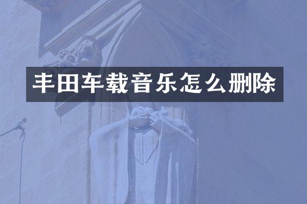 丰田车载音乐怎么删除