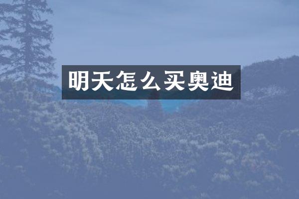明天怎么买奥迪