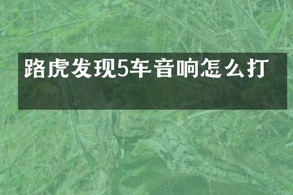 路虎发现5车音响怎么打开