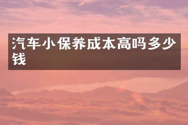 汽车小保养成本高吗多少钱
