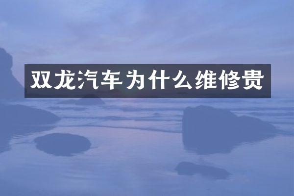 双龙汽车为什么维修贵