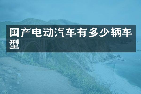 国产电动汽车有多少辆车型