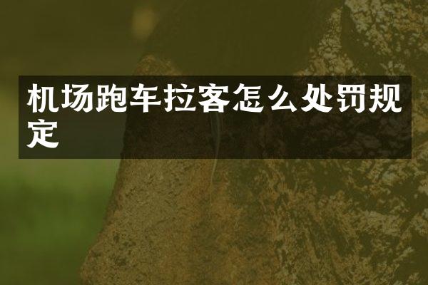 机场跑车拉客怎么处罚规定