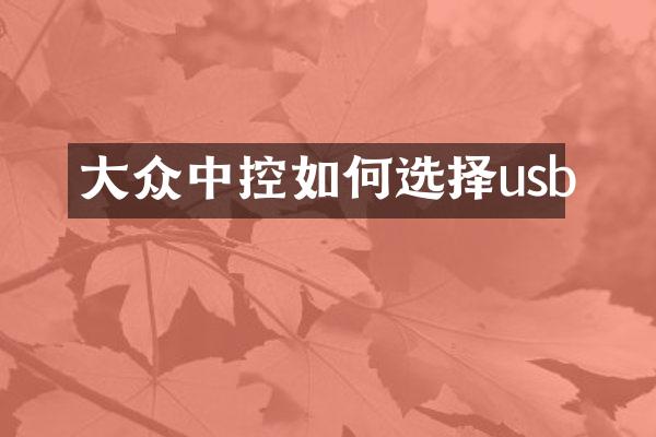 大众中控如何选择usb