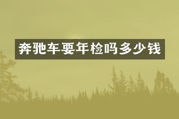 奔驰车要年检吗多少钱