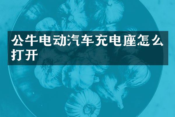 公牛电动汽车充电座怎么打开
