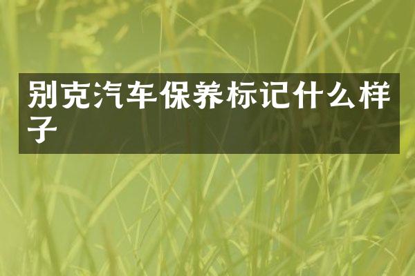 别克汽车保养标记什么样子