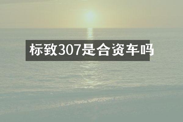 标致307是合资车吗