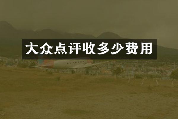 大众点评收多少费用