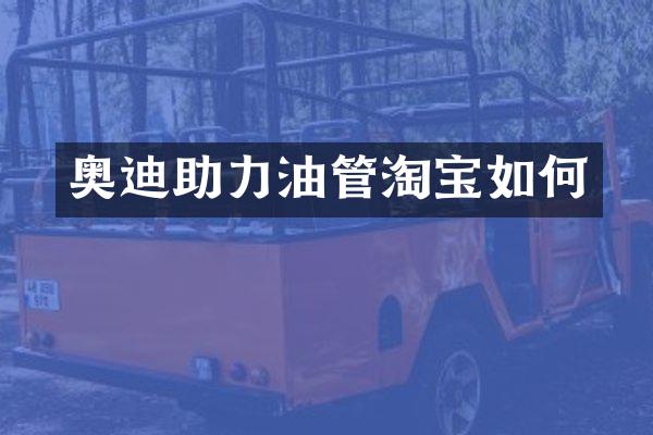 奥迪助力油管淘宝如何