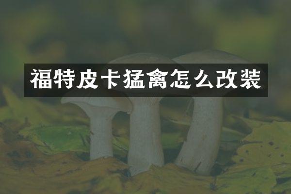 福特皮卡猛禽怎么改装