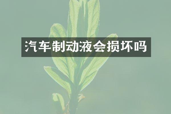 汽车制动液会损坏吗