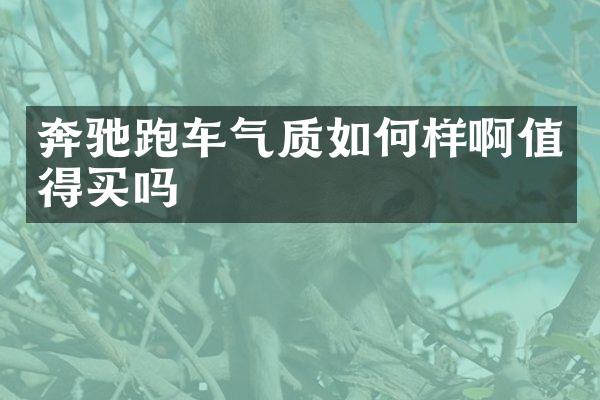 奔驰跑车气质如何样啊值得买吗