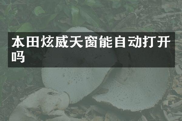 本田炫威天窗能自动打开吗