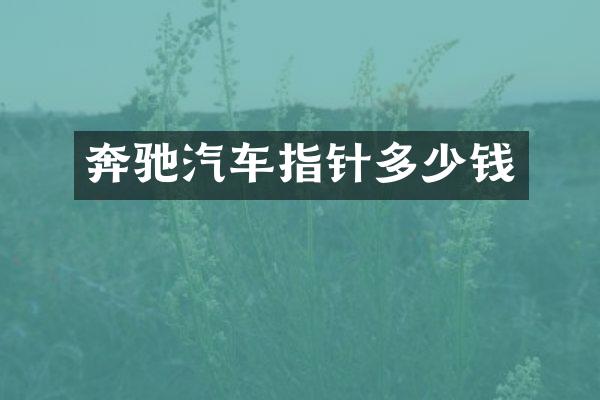 奔驰汽车指针多少钱