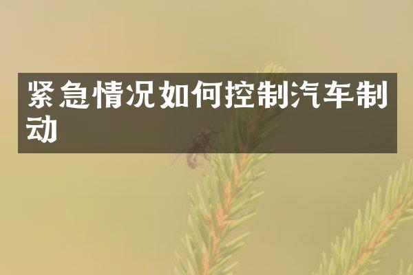 紧急情况如何控制汽车制动