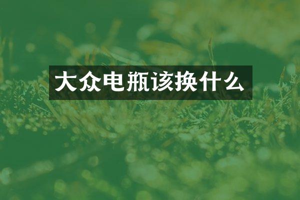 大众电瓶该换什么