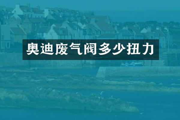 奥迪废气阀多少扭力