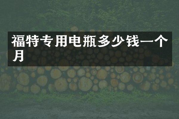 福特专用电瓶多少钱一个月