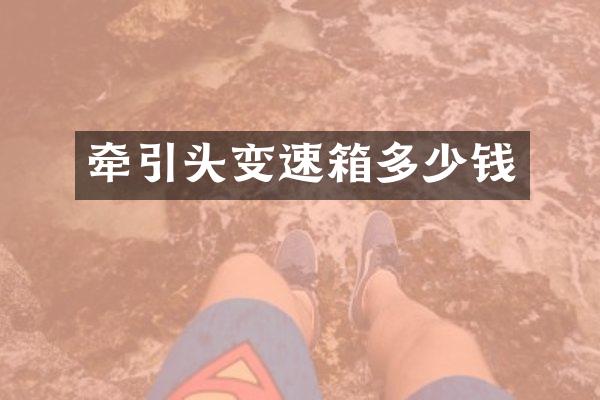 牵引头变速箱多少钱