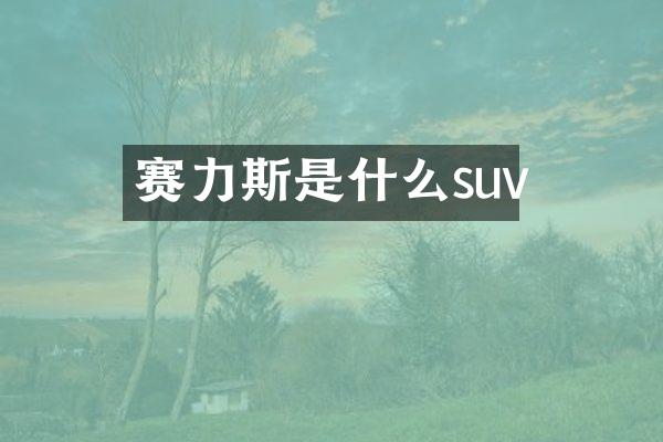 赛力斯是什么suv