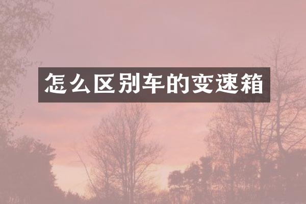 怎么区别车的变速箱