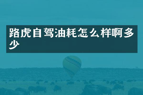 路虎自驾油耗怎么样啊多少