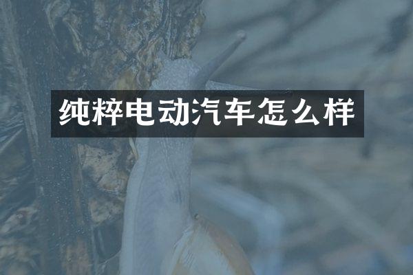 纯粹电动汽车怎么样