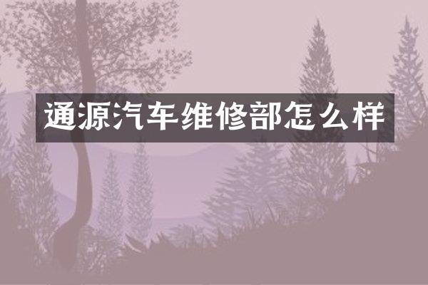 通源汽车维修部怎么样