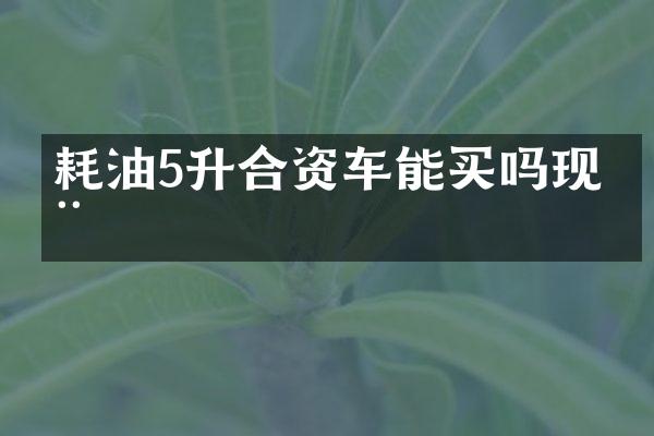 耗油5升合资车能买吗现在