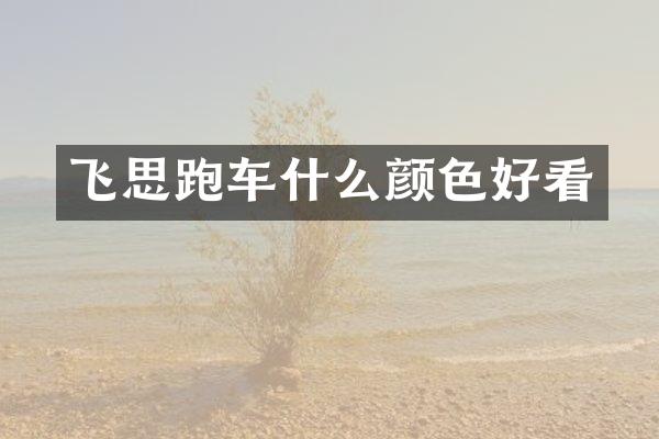 飞思跑车什么颜色好看