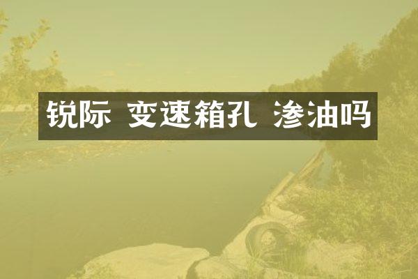 锐际 变速箱孔 渗油吗