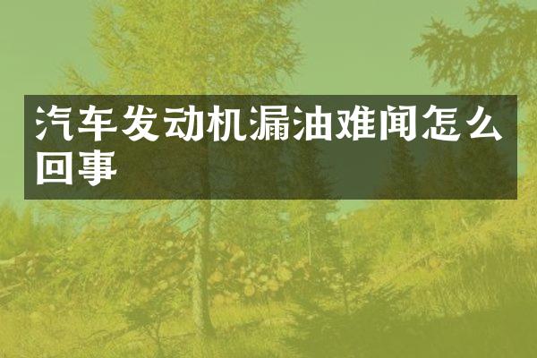 汽车发动机漏油难闻怎么回事