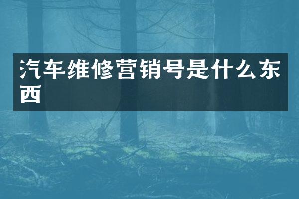汽车维修营销号是什么东西