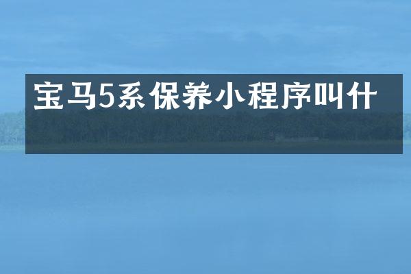 宝马5系保养小程序叫什么