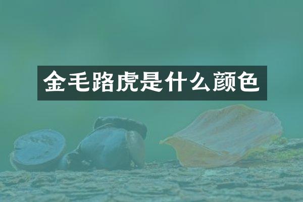 金毛路虎是什么颜色