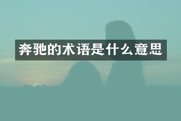 奔驰的术语是什么意思