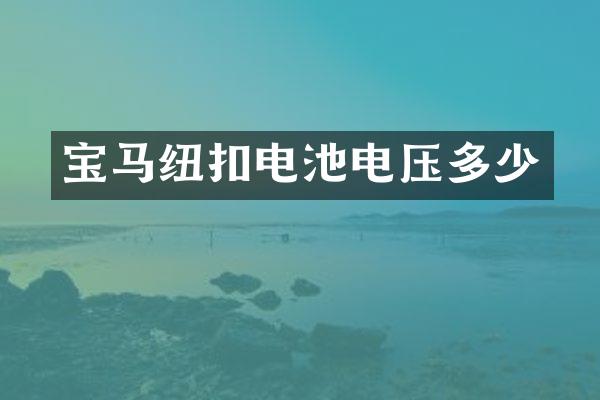 宝马纽扣电池电压多少
