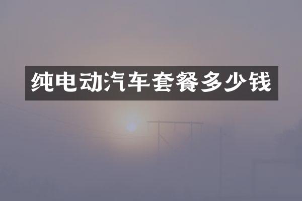 纯电动汽车套餐多少钱