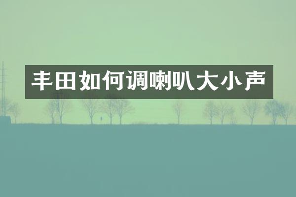 丰田如何调喇叭大小声