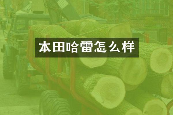 本田哈雷怎么样