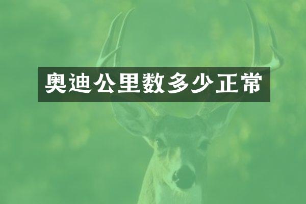 奥迪公里数多少正常