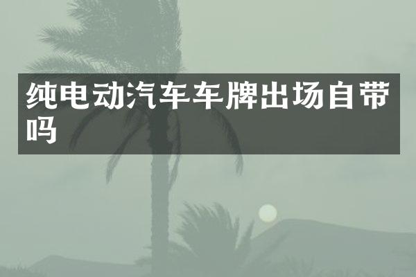 纯电动汽车车牌出场自带吗