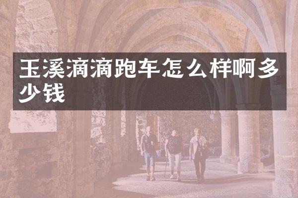 玉溪滴滴跑车怎么样啊多少钱