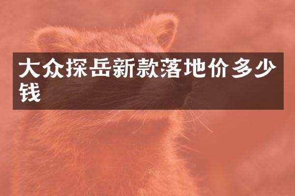 大众探岳新款落地价多少钱