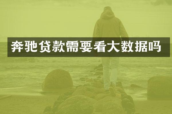 奔驰贷款需要看大数据吗