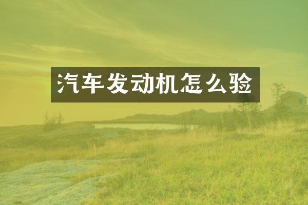汽车发动机怎么验