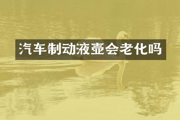 汽车制动液壶会老化吗