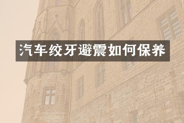汽车绞牙避震如何保养